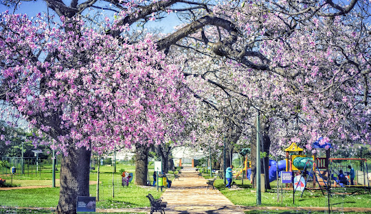 Parque das Barrigudas